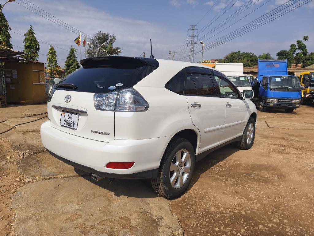 Toyota HARRIER (Kawundo)